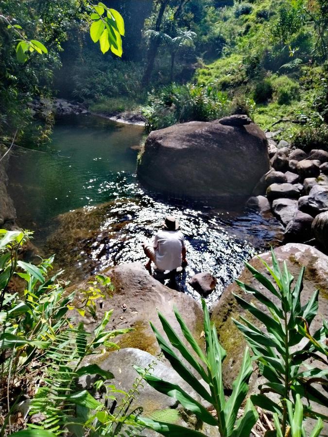 Hospedaje Bosque Del Rio Monteverde 외부 사진